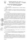 Vista preliminar de documento Resolución Gerencial de Gestión de Proyectos
