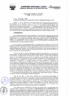 Vista preliminar de documento Resolución Gerencial de Gestión de Proyectos