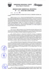 Vista preliminar de documento Resolución Gerencial de Gestión de Proyectos