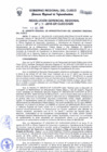 Vista preliminar de documento Resolución Gerencial de Gestión de Proyectos