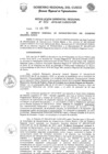 Vista preliminar de documento Resolución Gerencial de Gestión de Proyectos