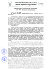Vista preliminar de documento Resolución Gerencial de Gestión de Proyectos