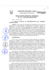 Vista preliminar de documento Resolución Gerencial de Gestión de Proyectos