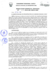 Vista preliminar de documento Resolución Gerencial de Gestión de Proyectos