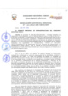 Vista preliminar de documento Resolución Gerencial de Gestión de Proyectos