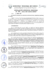 Vista preliminar de documento Resolución Gerencial de Gestión de Proyectos