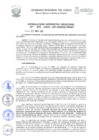 Vista preliminar de documento Resolución Gerencial de Gestión de Proyectos