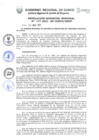 Vista preliminar de documento Resolución Gerencial de Gestión de Proyectos