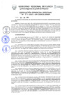 Vista preliminar de documento Resolución Gerencial de Gestión de Proyectos