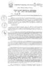 Vista preliminar de documento Resolución Gerencial de Gestión de Proyectos