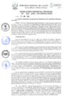 Vista preliminar de documento Resolución Gerencial de Gestión de Proyectos