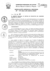 Vista preliminar de documento Resolución Gerencial de Gestión de Proyectos