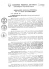 Vista preliminar de documento Resolución Gerencial de Gestión de Proyectos