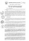 Vista preliminar de documento Resolución Gerencial de Gestión de Proyectos