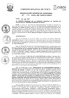 Vista preliminar de documento Resolución Gerencial de Gestión de Proyectos