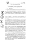 Vista preliminar de documento Resolución Gerencial de Gestión de Proyectos