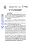 Vista preliminar de documento Resolución Gerencial de Gestión de Proyectos