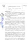 Vista preliminar de documento Resolución Gerencial de Gestión de Proyectos