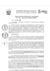 Vista preliminar de documento Resolución Gerencial de Gestión de Proyectos