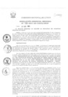 Vista preliminar de documento Resolución Gerencial de Gestión de Proyectos