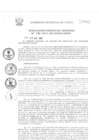 Vista preliminar de documento Resolución Gerencial de Gestión de Proyectos