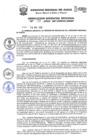 Vista preliminar de documento Resolución Gerencial de Gestión de Proyectos