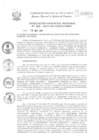 Vista preliminar de documento Resolución Gerencial de Gestión de Proyectos