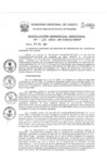 Vista preliminar de documento Resolución Gerencial de Gestión de Proyectos
