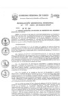 Vista preliminar de documento Resolución Gerencial de Gestión de Proyectos