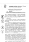 Vista preliminar de documento Resolución Gerencial de Gestión de Proyectos