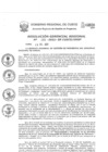 Vista preliminar de documento Resolución Gerencial de Gestión de Proyectos