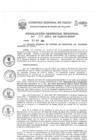 Vista preliminar de documento Resolución Gerencial de Gestión de Proyectos