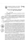 Vista preliminar de documento Resolución Gerencial de Gestión de Proyectos