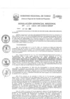 Vista preliminar de documento Resolución Gerencial de Gestión de Proyectos