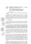 Vista preliminar de documento Resolución Gerencial de Gestión de Proyectos