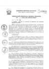 Vista preliminar de documento Resolución Gerencial de Gestión de Proyectos