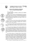 Vista preliminar de documento Resolución Gerencial de Gestión de Proyectos