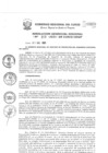 Vista preliminar de documento Resolución Gerencial de Gestión de Proyectos