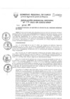 Vista preliminar de documento Resolución Gerencial de Gestión de Proyectos