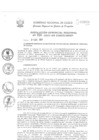 Vista preliminar de documento Resolución Gerencial de Gestión de Proyectos