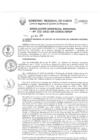 Vista preliminar de documento Resolución Gerencial de Gestión de Proyectos