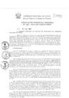 Vista preliminar de documento Resolución Gerencial de Gestión de Proyectos