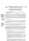 Vista preliminar de documento Resolución Gerencial de Gestión de Proyectos