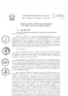 Vista preliminar de documento Resolución Gerencial de Gestión de Proyectos