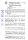 Vista preliminar de documento Resolución Gerencial de Gestión de Proyectos