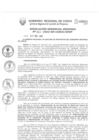 Vista preliminar de documento Resolución Gerencial de Gestión de Proyectos