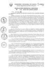 Vista preliminar de documento Resolución Gerencial de Gestión de Proyectos