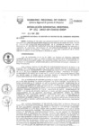 Vista preliminar de documento Resolución Gerencial de Gestión de Proyectos