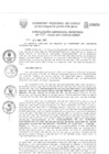 Vista preliminar de documento Resolución Gerencial de Gestión de Proyectos