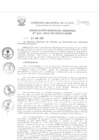 Vista preliminar de documento Resolución Gerencial de Gestión de Proyectos